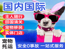 大长山机场快运国际宠物托运 【国